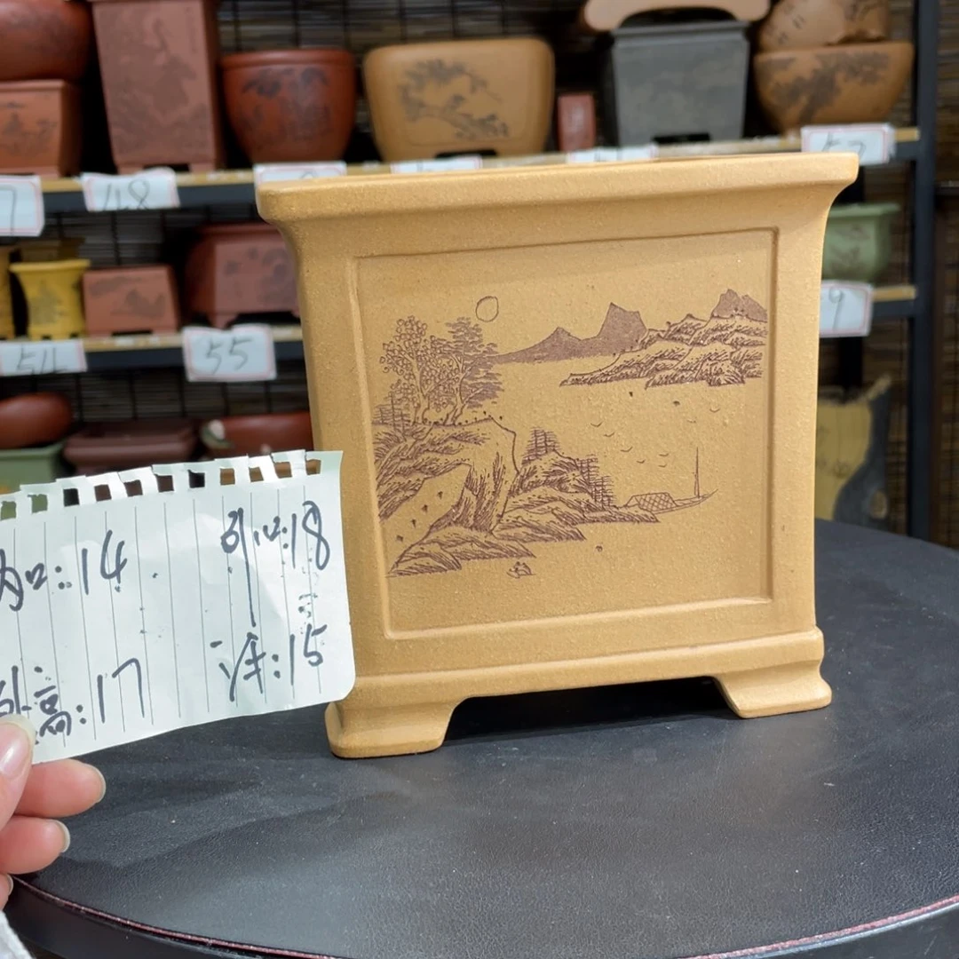 紫砂花盆紫砂花盆在这里