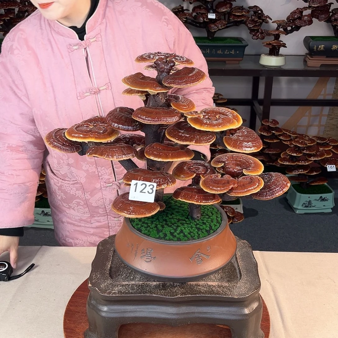 万事如意88888123