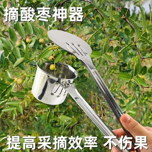 新型摘酸枣神器不锈钢摘果器摘山果专用山枣小枣摘果器摘水果工具