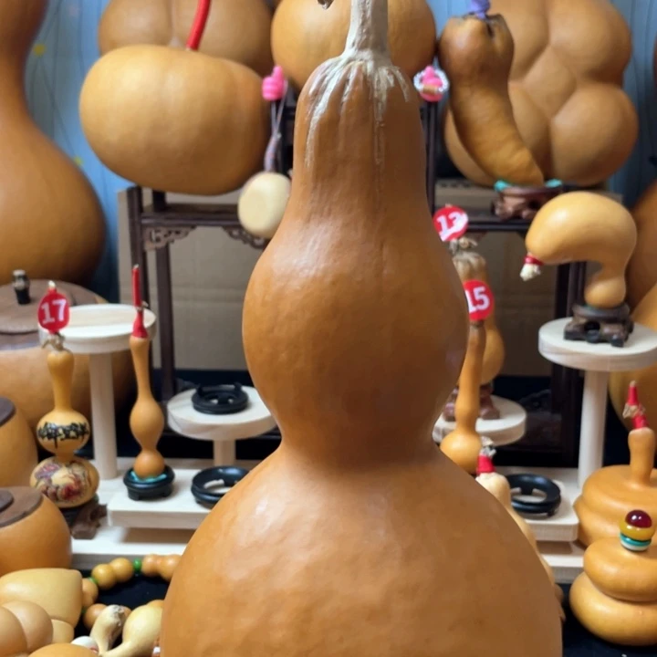 种***子这种行为让他看到这个