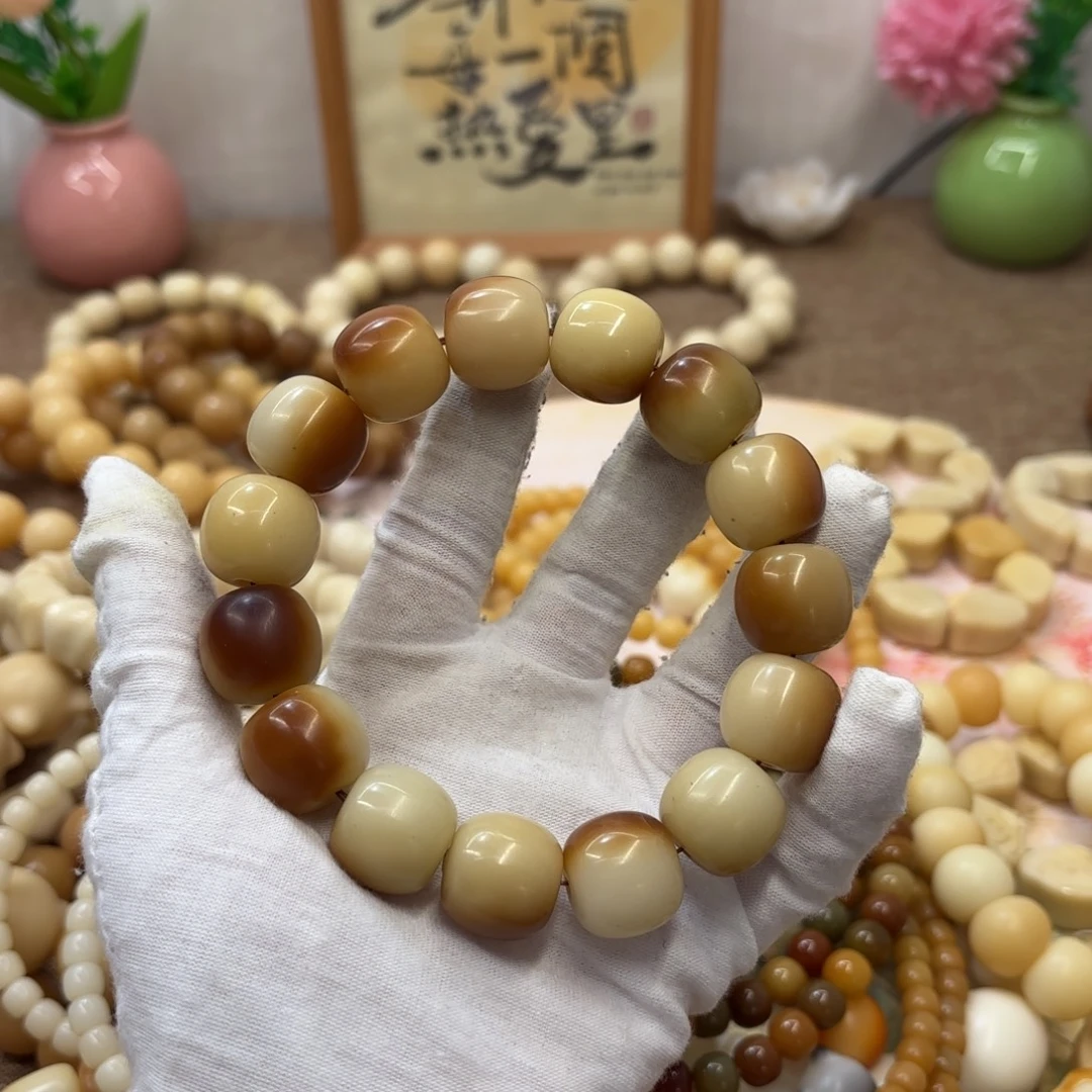 吊坠菩提根/象牙果18干磨瑕疵落地果037