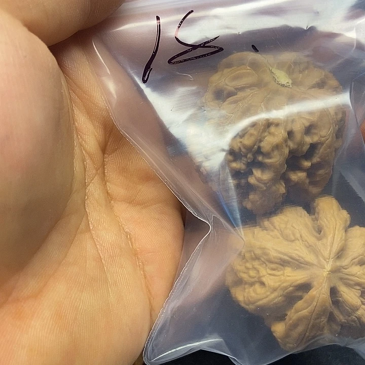 k***a核桃十八号文玩核桃