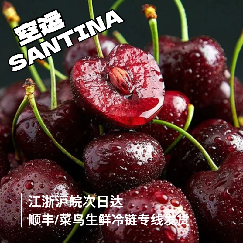 【生鲜专线次日达XY】4JD/DL桑提娜5斤装空运智利进口车厘子内附果径卡桑提娜樱桃智利共和国