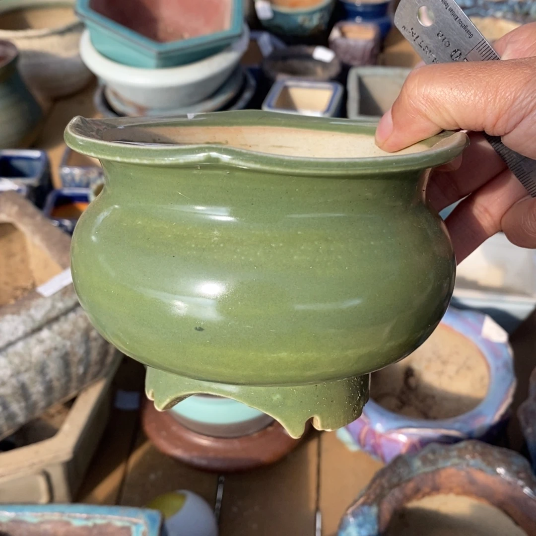 16号多肉盆口径10