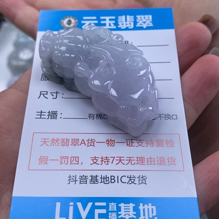 翡翠未镶嵌颈饰多人貔貅