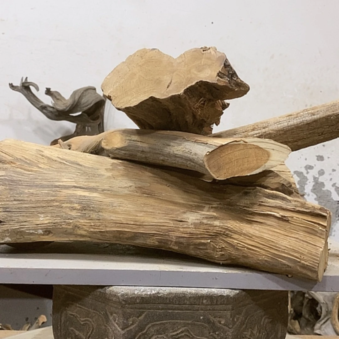 【闪购商品】柏木展****）我们都是好孩子