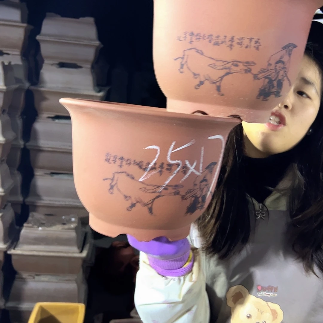 25+25光板放牛娃平角金钟花盆花盆