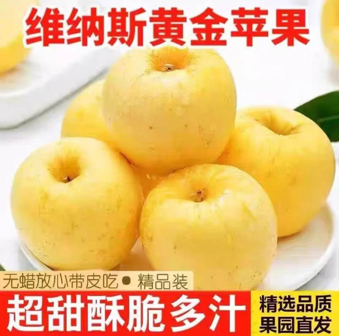 2025正宗烟台维纳斯黄金苹果脆甜多汁应季新鲜水果