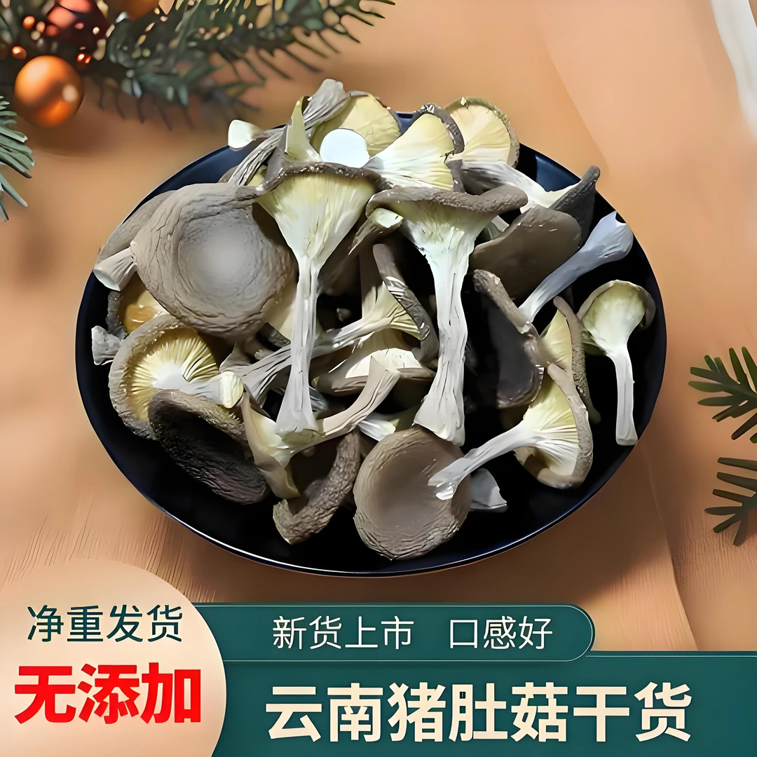 头茬新货猪肚菇羊肚干鲜品500g