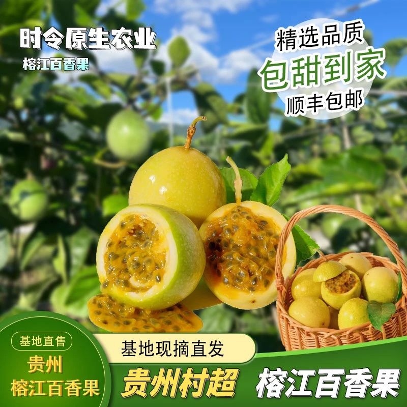 贵州榕江村超黄金百香果“钦密9号”当季新鲜水果现摘现发香甜多汁