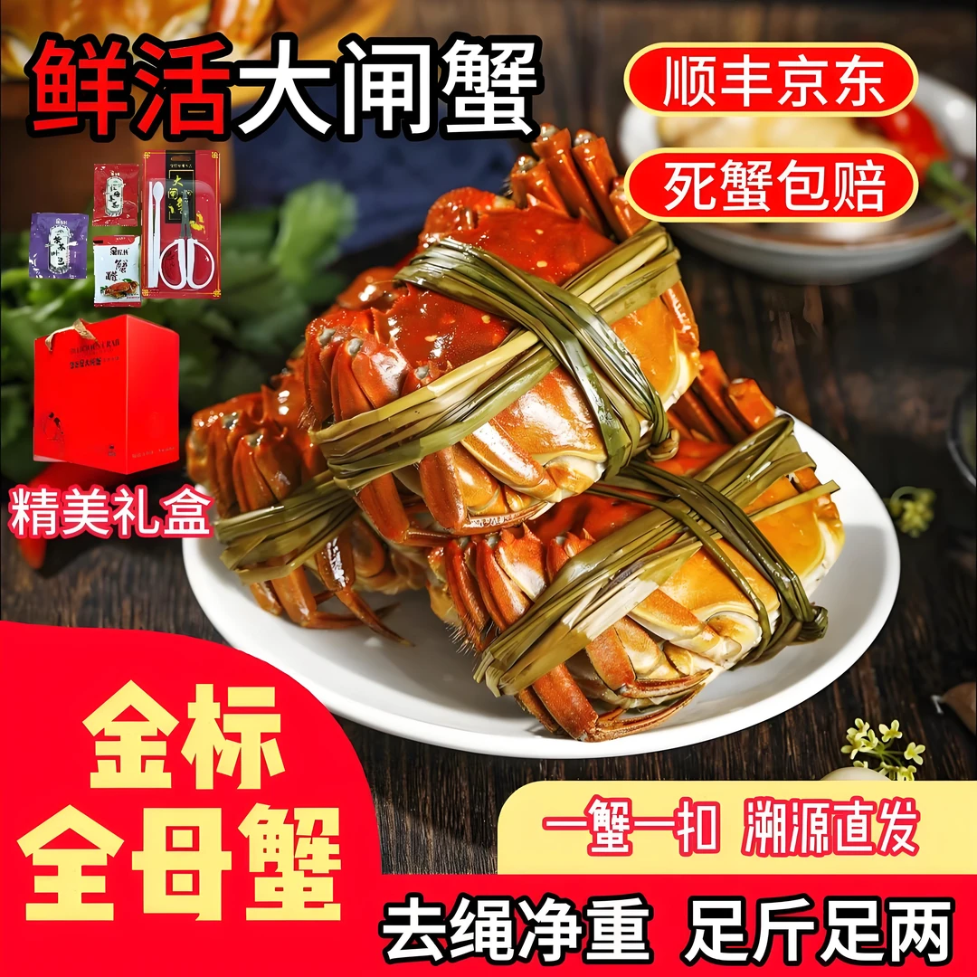 活蟹现货 鲜活大闸蟹母蟹2.0两 8/10只装 顺丰京东冷链发货J