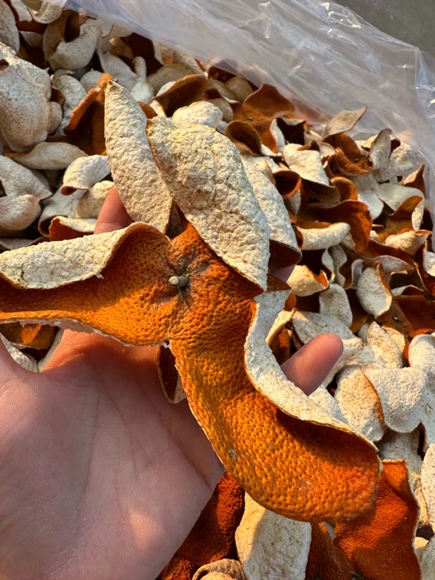 【密兰花香收藏级】2024年梅江圈枝冬后皮全程只挑整皮正宗新会陈皮