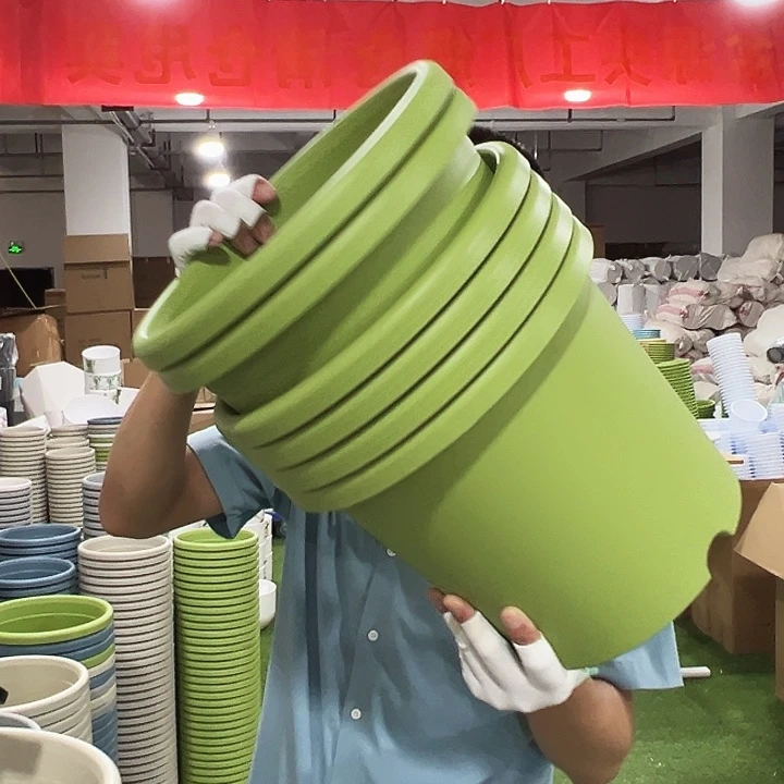 特价5号四季口29高25果绿无托6只