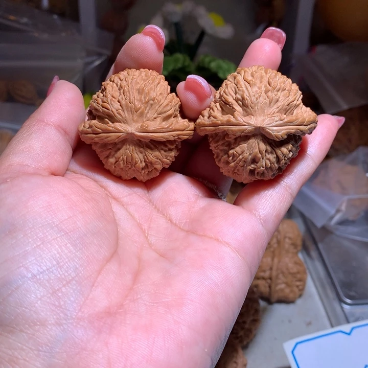 核桃手串/手链财**运40白狮子