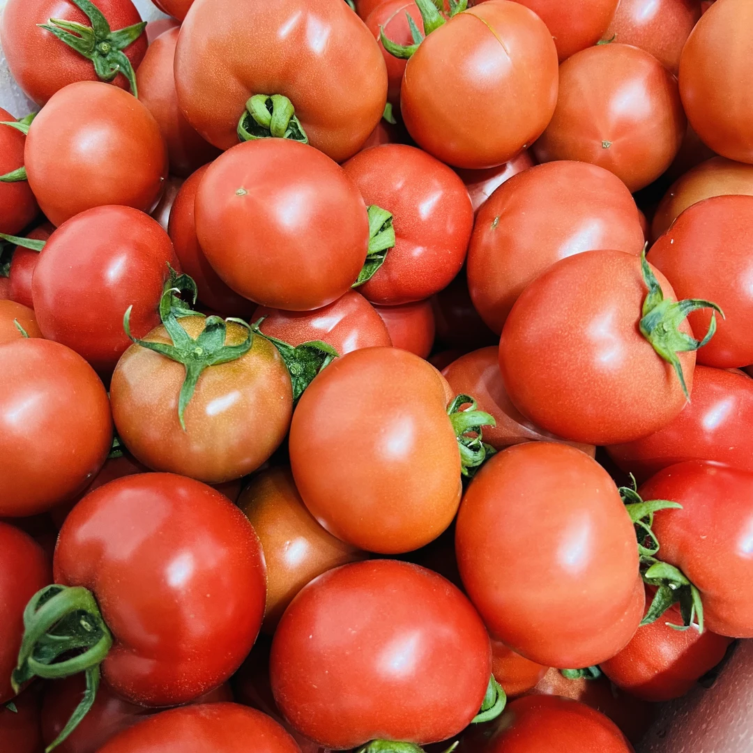 【磊哥心选】高糖番茄3斤左右一箱 西红柿高糖番茄山东省潍坊市
