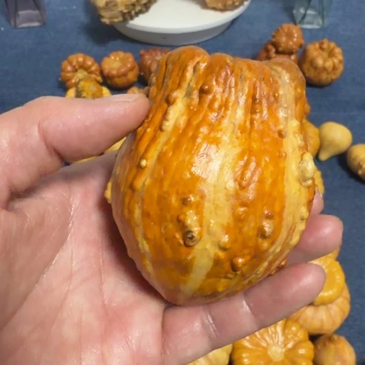 遇***儿墨西哥七彩疙瘩葫芦