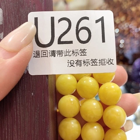 大叶紫檀（黑酸枝木类）261