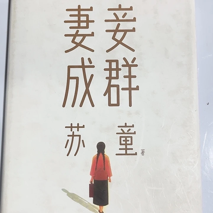 妻妾成群全新精装