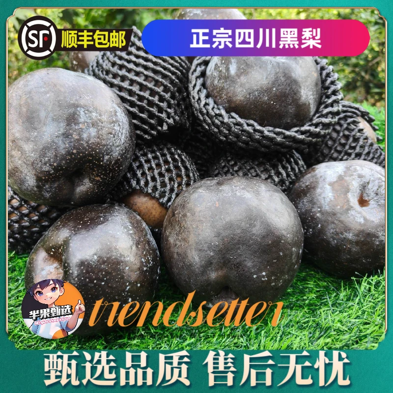 【芈果甄选】正宗四川阿坝黑梨非东北冻梨3斤10斤装大黑梨产地直发