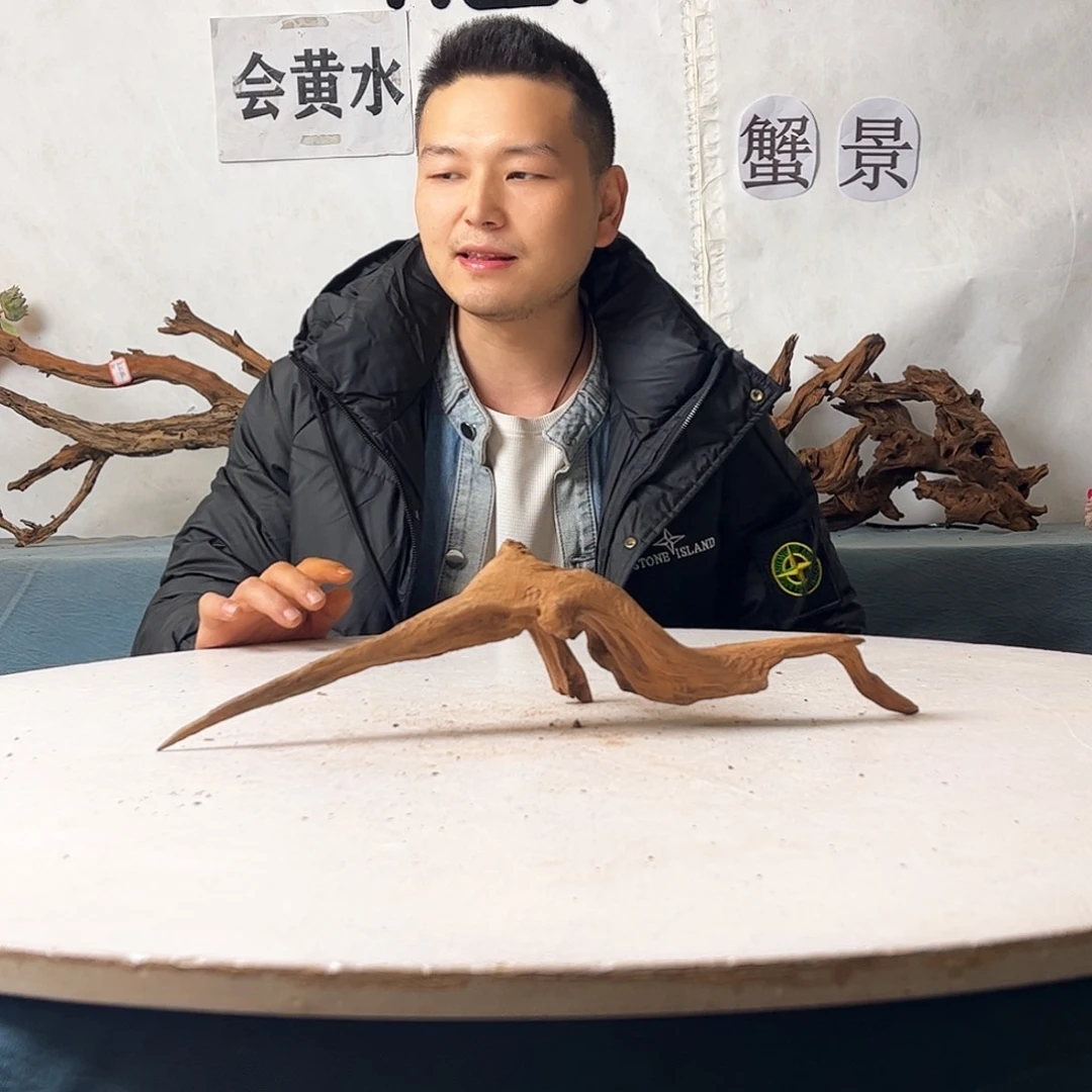 沉木造景爬宠造景