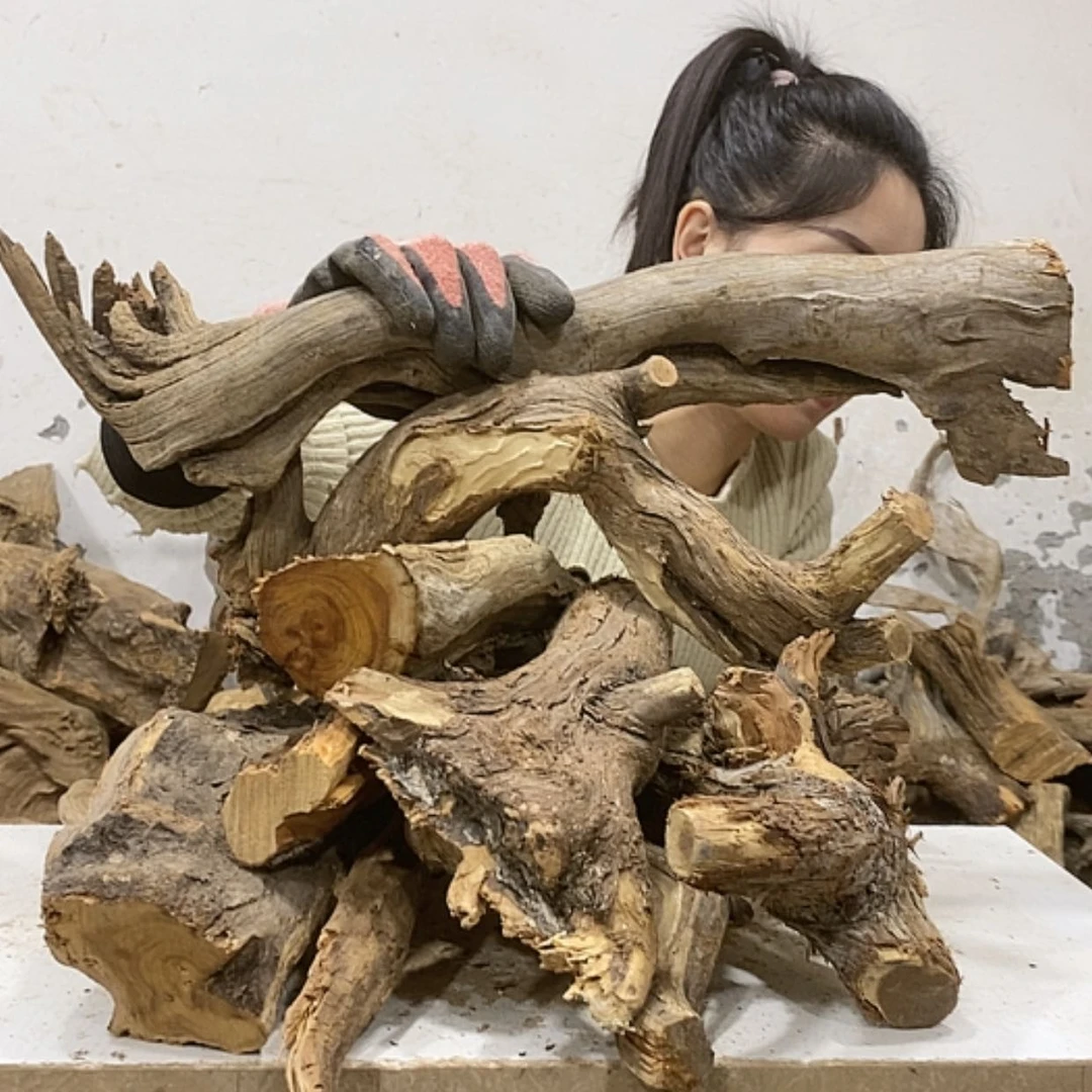 【闪购商品】柏木中*心我们都是好孩子