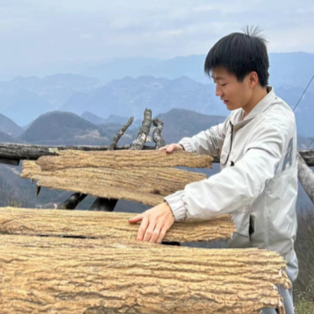 【杜仲】陕西秦岭山50年 老杜仲 100克500克