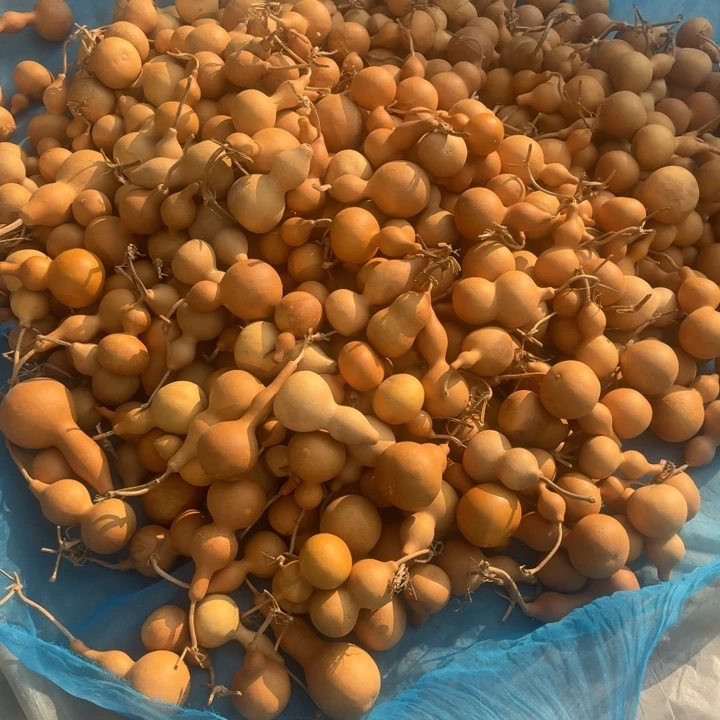 葫芦批发尾货处理不退不换