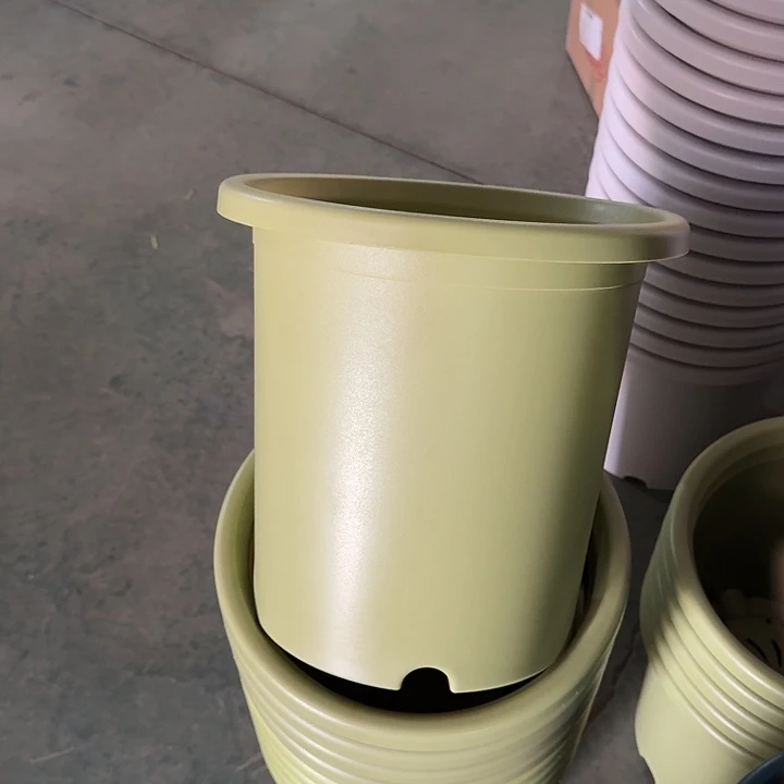 微瑕7#果绿6个无托