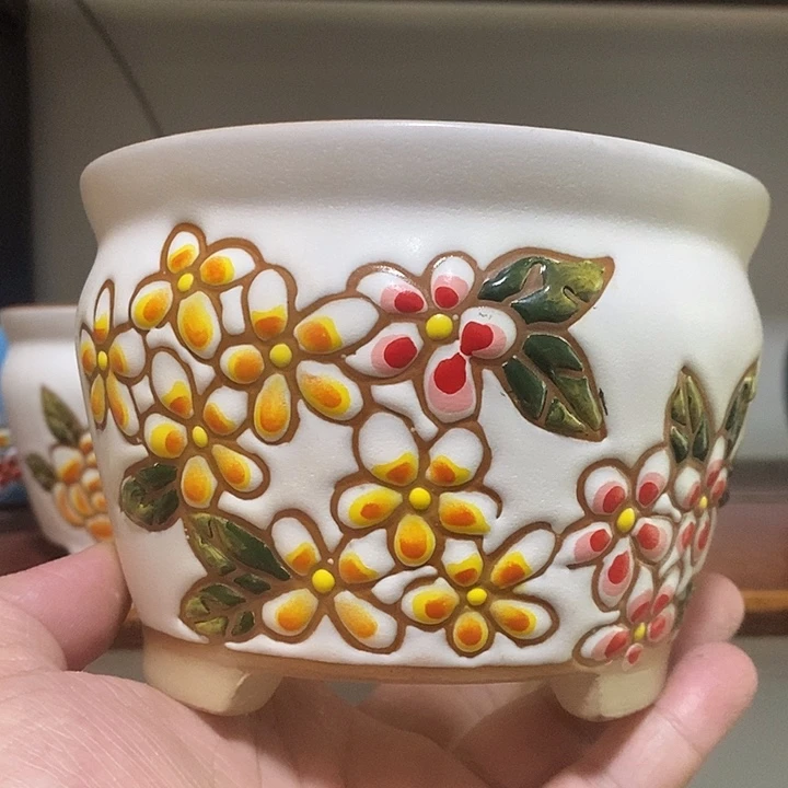 韩式多肉植物花盆