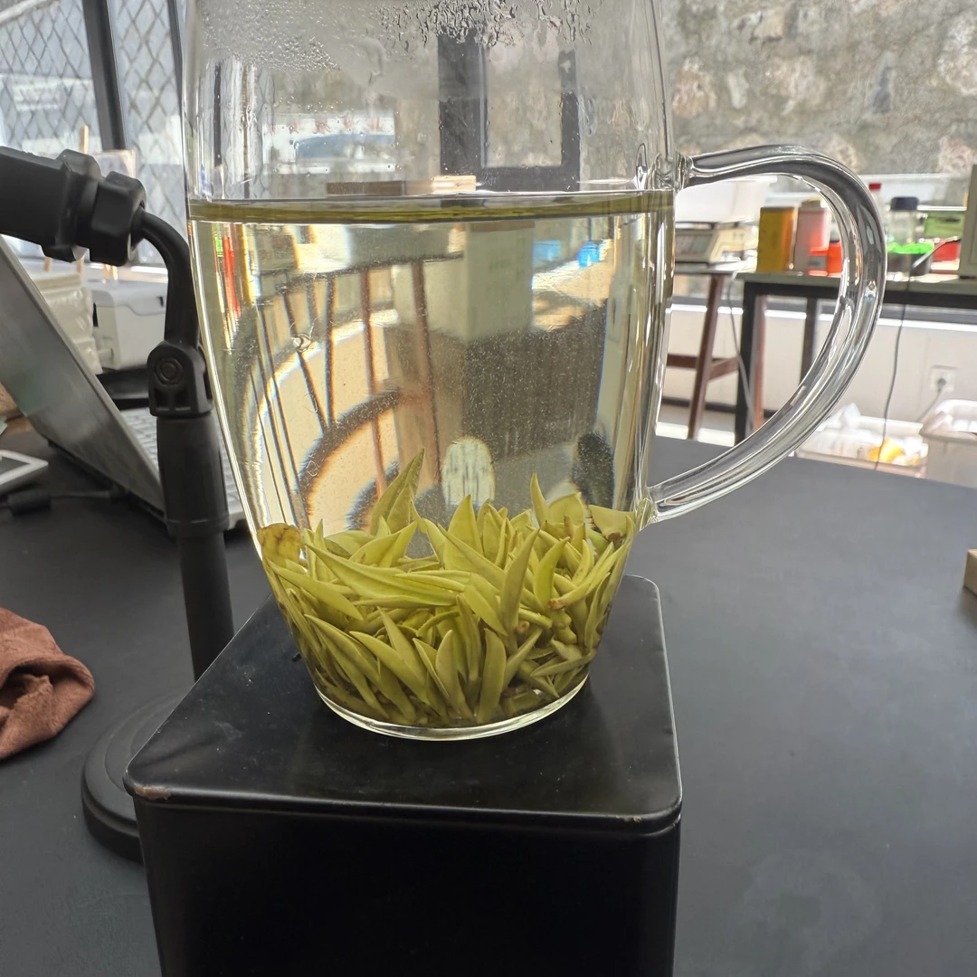 【天荒坪头采】T3 高山白茶 芽肥色亮  汤色透亮 口感鲜甜