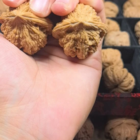ゞ***ě龙脊菩提吊坠啊啊啊吧啊啊啊3