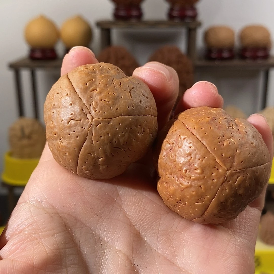 把件文玩核桃梅花底金刚38