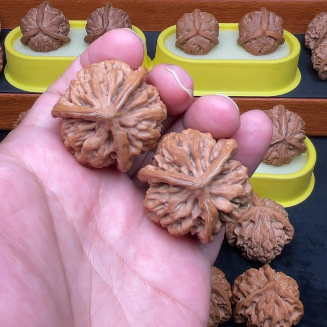 核桃手串/手链秦闷全品39