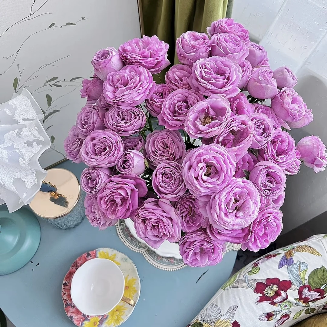 【基地直发】【5度以下拍保温棉】贝琳达多头玫瑰10枝