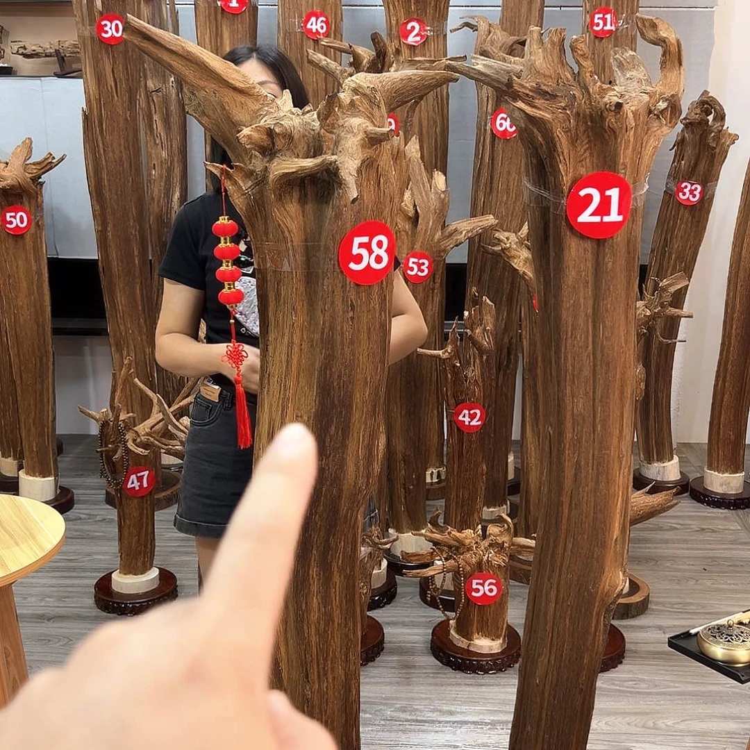 沉香沉香碎屑忠*哥沉香