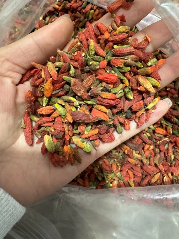 长白山枸杞子可泡茶煲汤的滋补干货