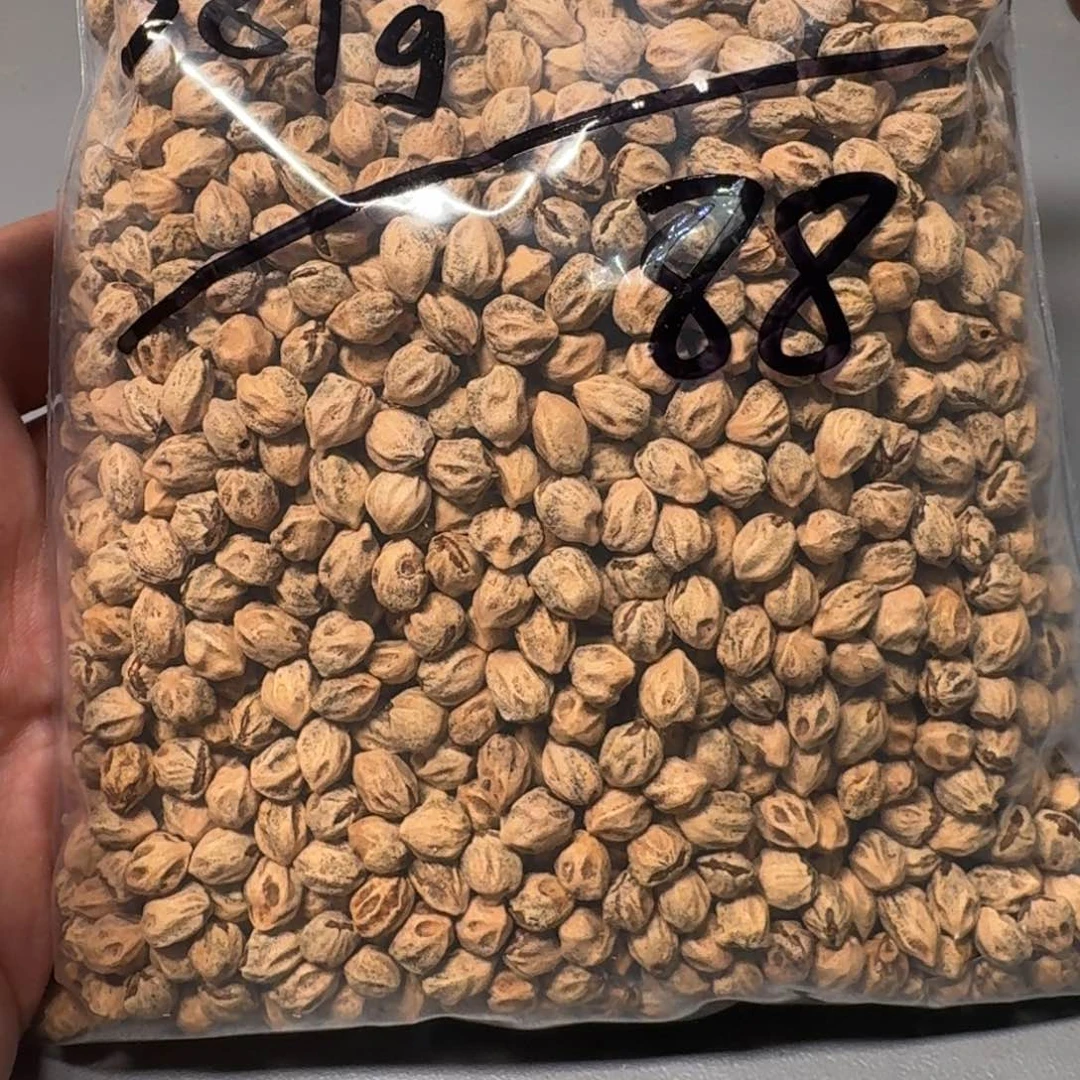 柏香籽/百香籽吊坠满****红