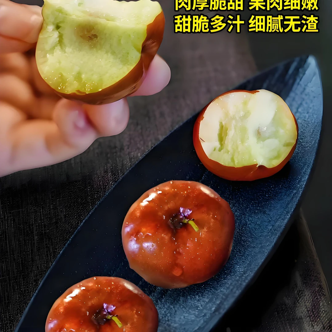 山西蟠枣现摘现发脆甜可口应季水果