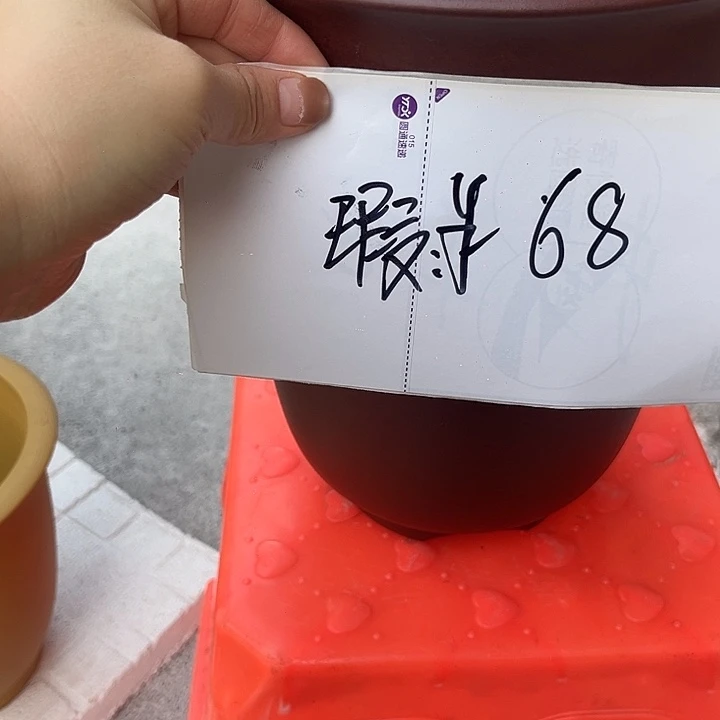 紫砂其他886858568558885858588888