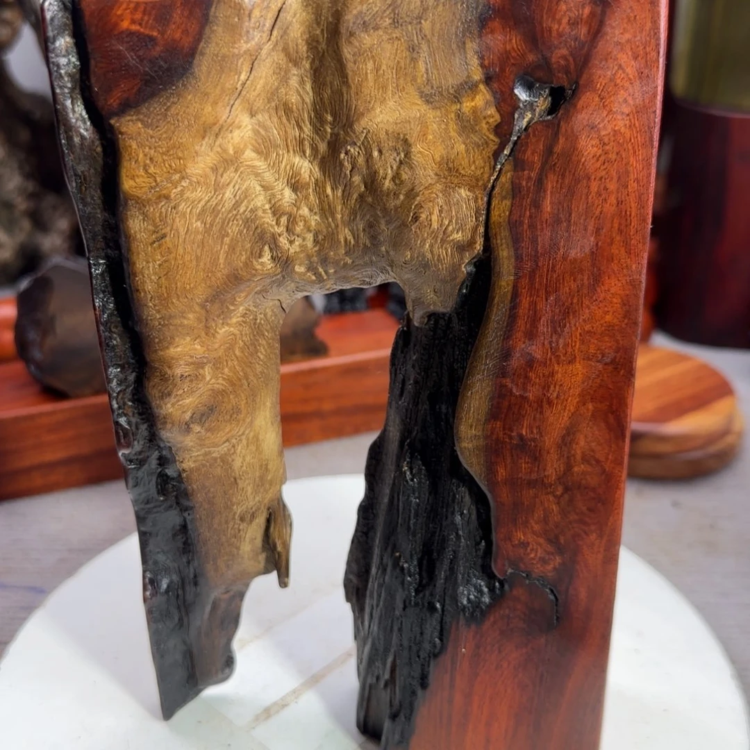 大果紫檀（缅甸花梨）这****过