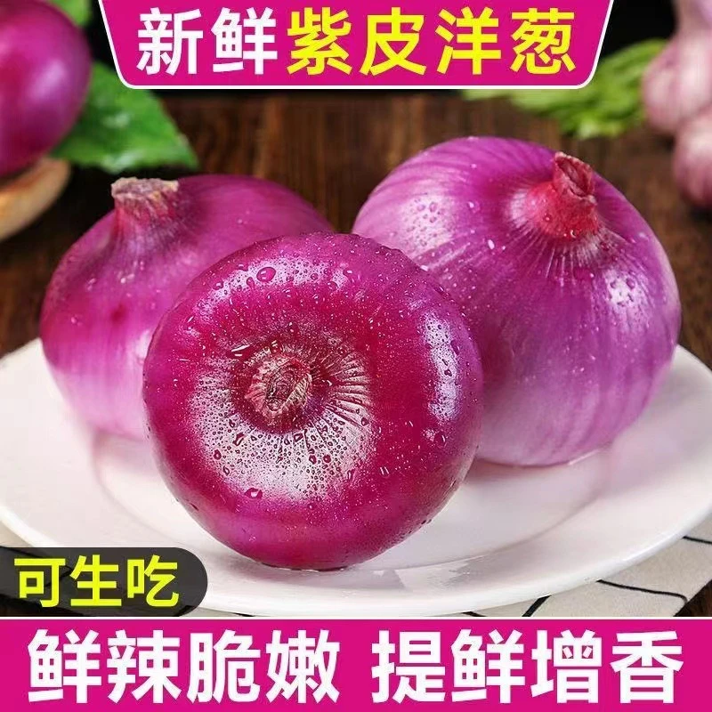 郝爷10斤云南高山紫皮洋葱2025年原产地新鲜现挖现发坏果包赔