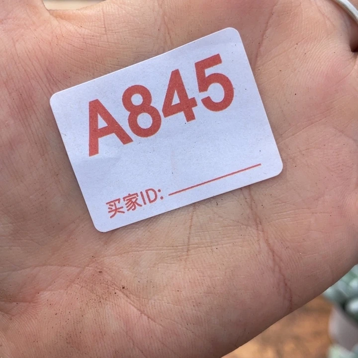 ᴠ***₉哈哈哈哈哈哈哈哈845