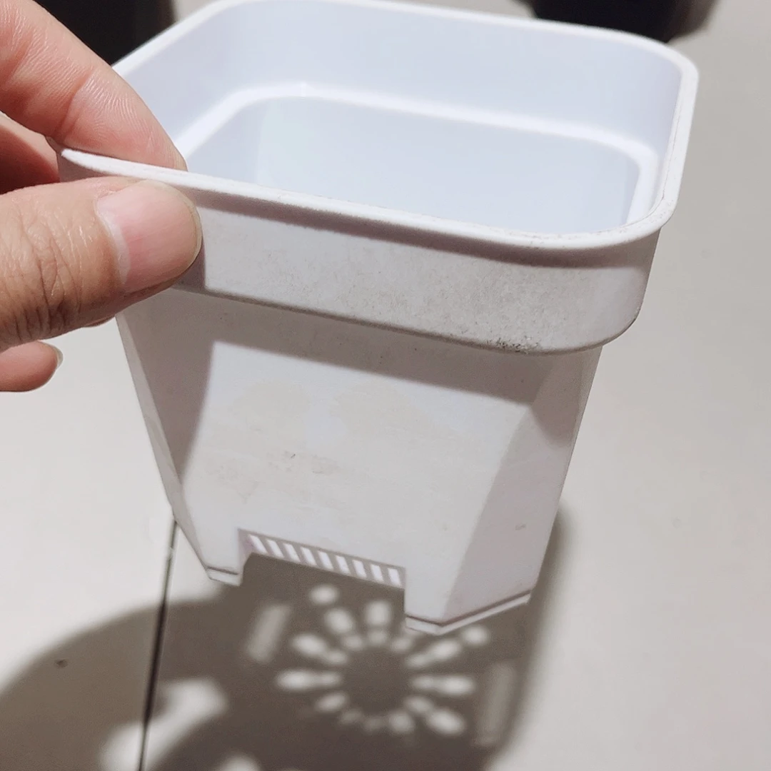 加厚矮胖口11.8高10.5白盆10个无托