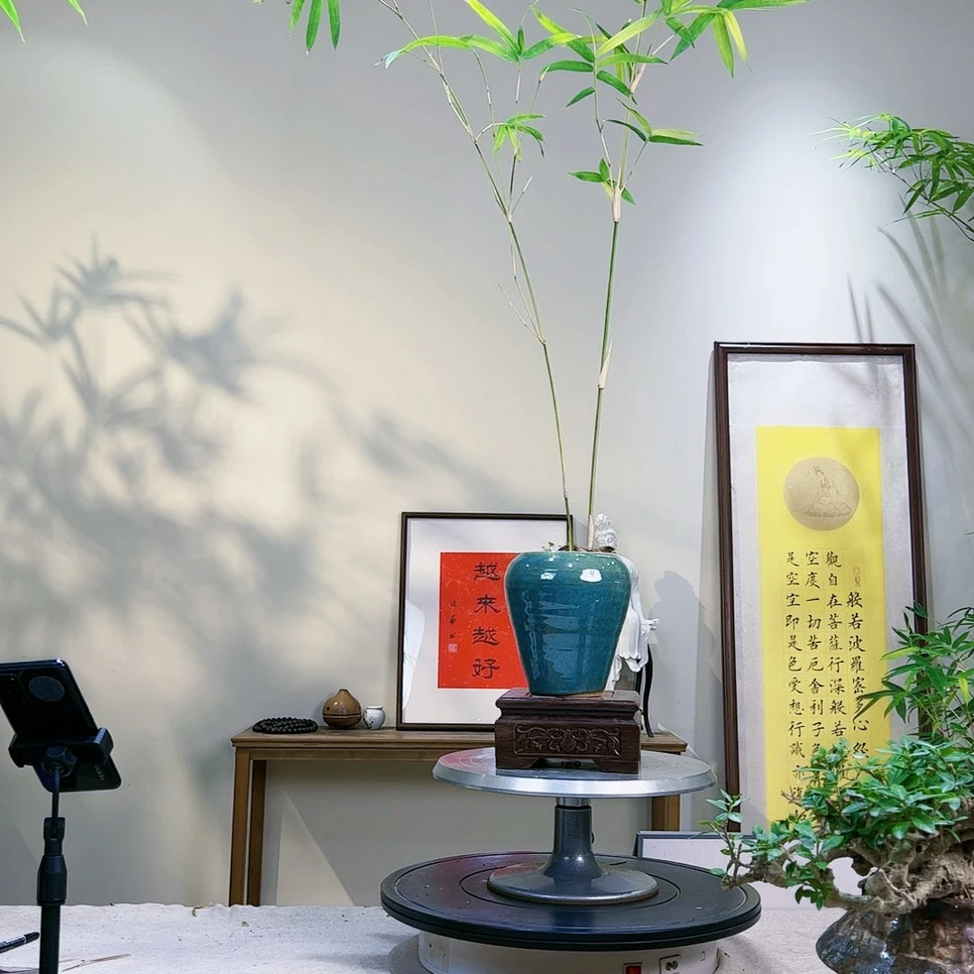 春老桩精品竹盆景