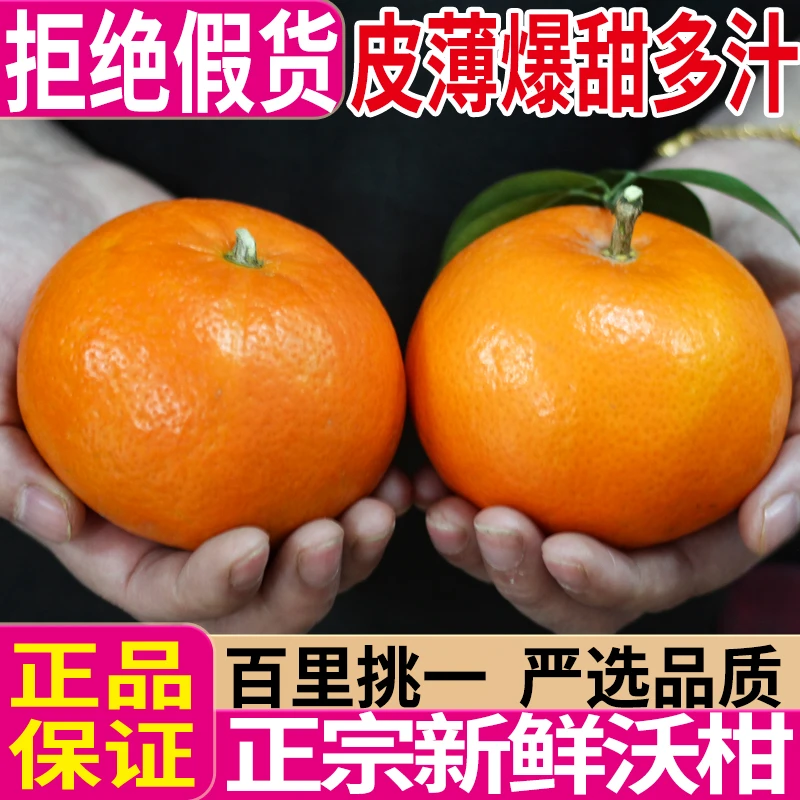 【全福品】沃柑橘新鲜沃柑应季正宗橘子薄皮柑橘子新鲜整箱5斤