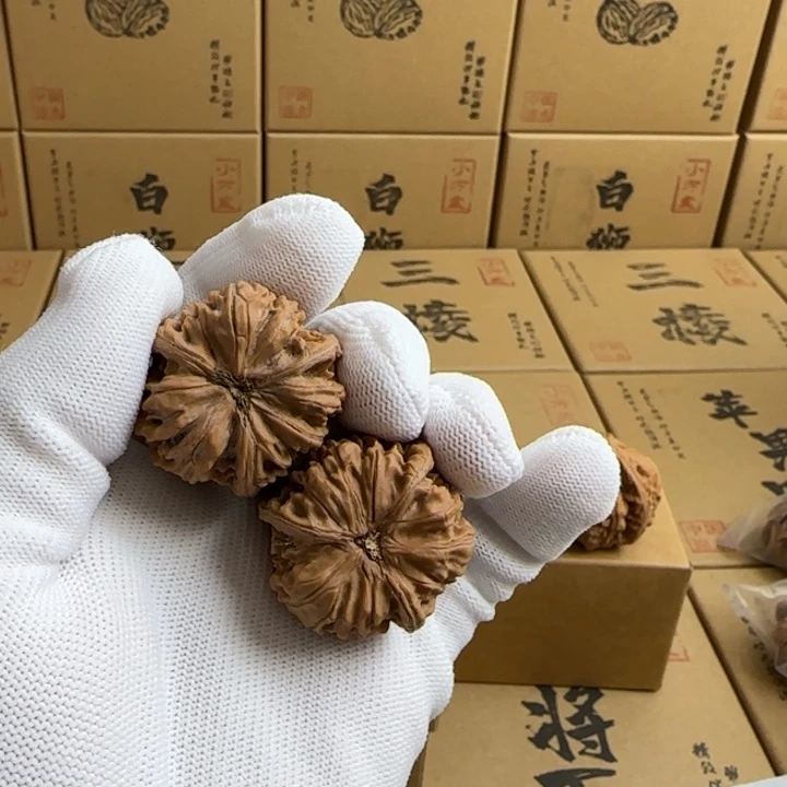 文玩核桃吊坠旺****哲玉龙三棱