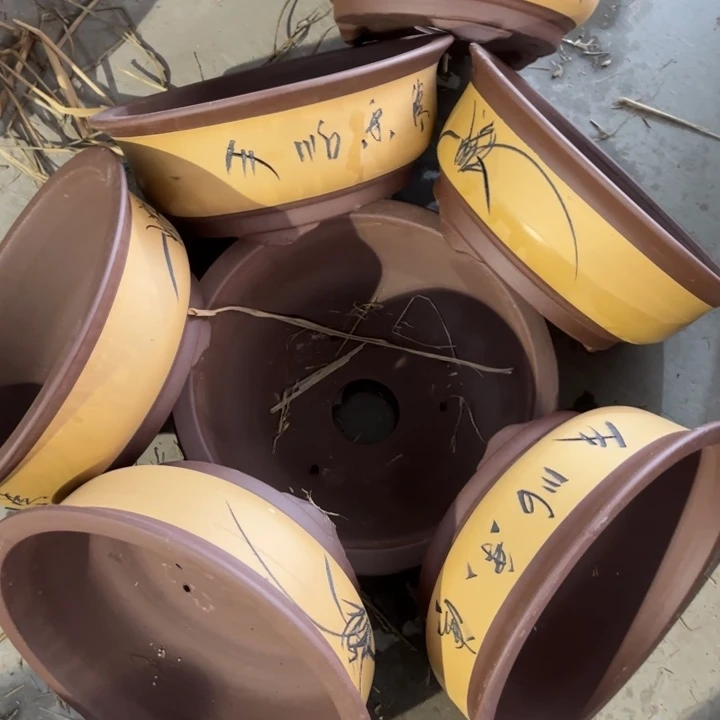 紫砂花盆100-7。  27.5-11