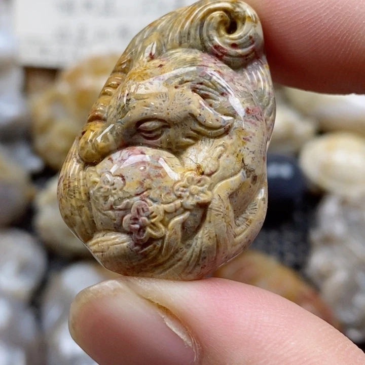 颈饰未镶嵌硅化珊瑚（珊瑚玉）小