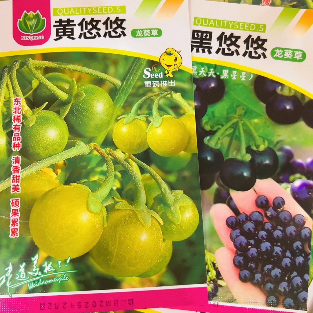 黄悠悠种子（黑悠悠种子）组合