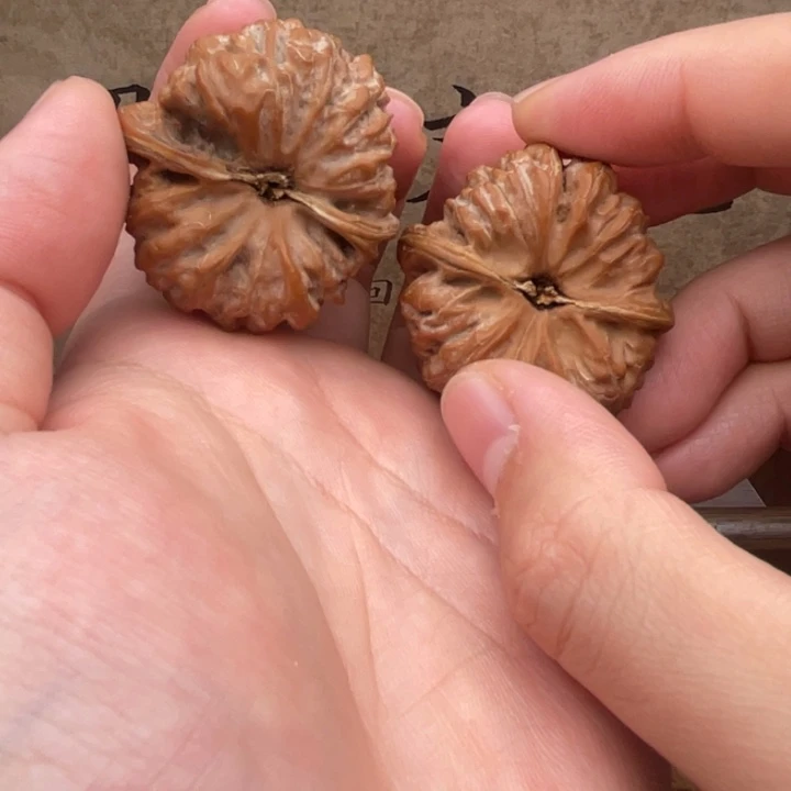 文玩核桃把件38凹底